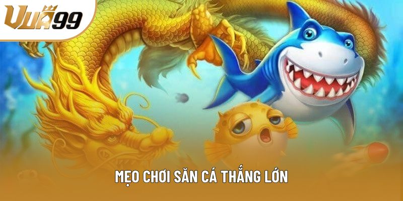 Mẹo chơi săn cá thắng lớn Mẹo chơi săn cá thắng lớn