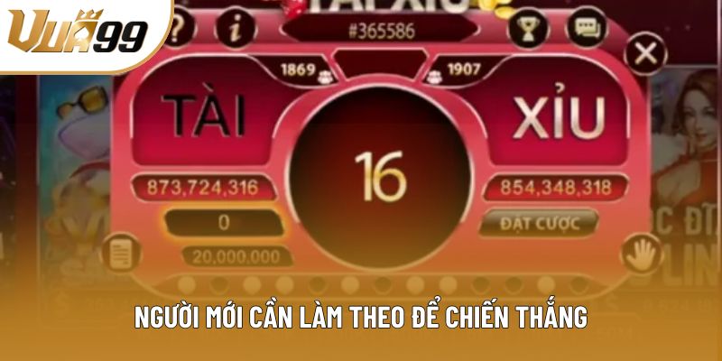 Người mới cần làm theo để chiến thắng Người mới cần làm theo để chiến thắng